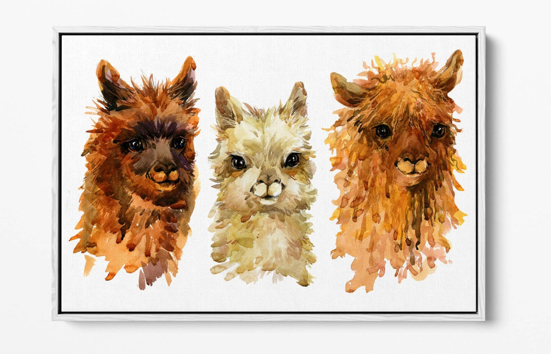 Alpaca Canvas Wall Art - Watercolour Style Float Effect Print With MDF Frame