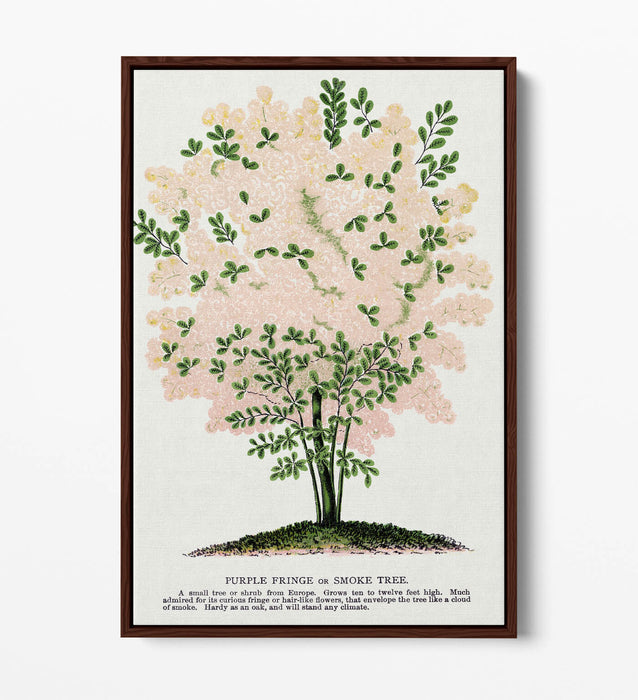 Float Effect Canvas Art – Purple Fringe Tree Lithograph Print on Custom Deep Frame