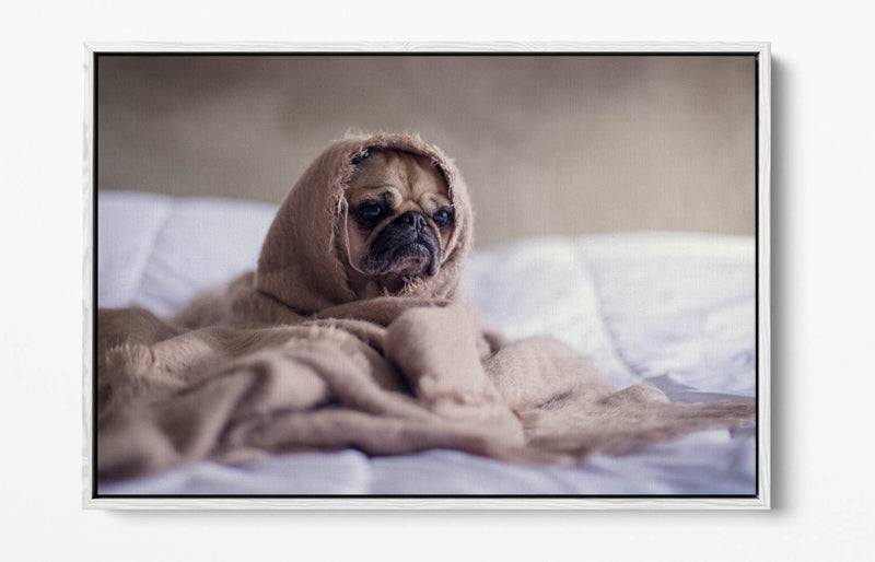 Pug Dog Canvas Art - Cute Bedroom Wall Decor | Handmade Float Effect Print