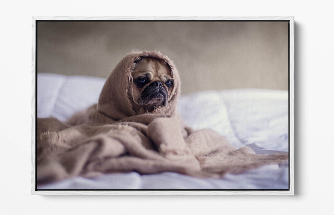 Pug Dog Canvas Art - Cute Bedroom Wall Decor | Handmade Float Effect Print