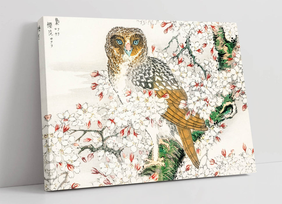 Canvas Wall Art - Numata Kashu Short Eared Owl & Cherry Blossom Print on Archival Grade Canvas