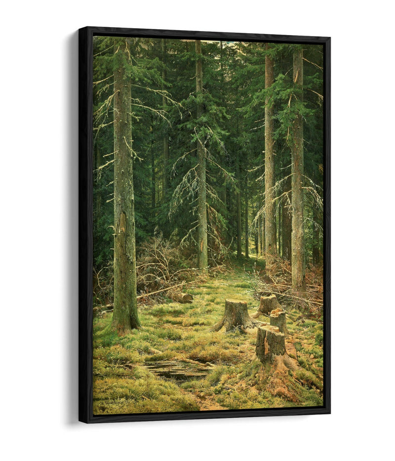 Canvas Wall Art - Ivan Shishkin Coniferous Forest Float Effect Canvas Print