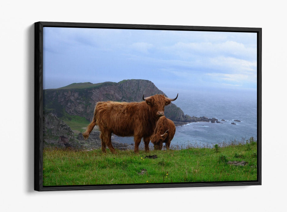Canvas Wall Art - Highland Cows Coastal Landscape Print | Float Effect, Handmade