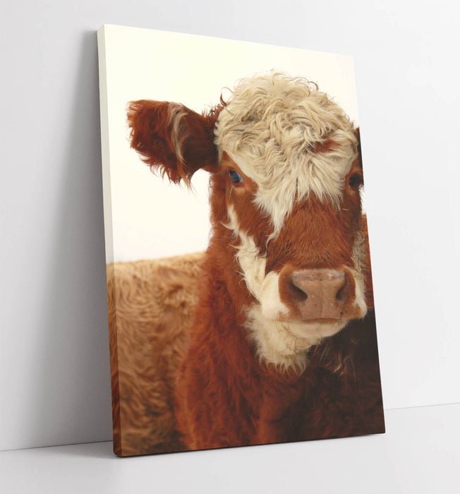 Cow Canvas Wall Art – Brown White Cow Portrait Painting | Ready To Hang