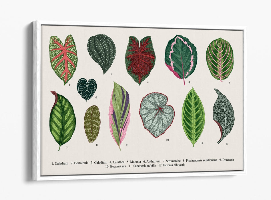 Plant Leaf Canvas Art – Botanical Wall Decor With Float Effect Frame