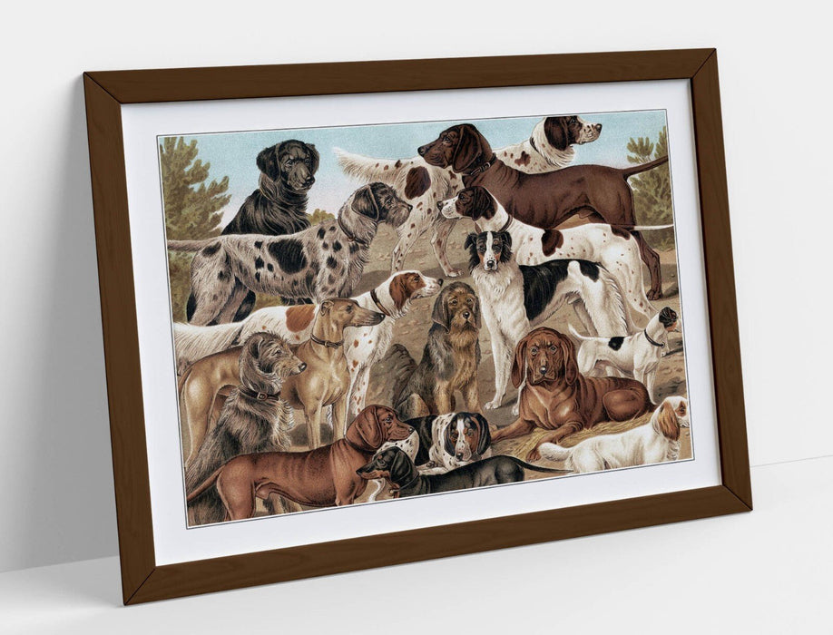 Dog Wall Art - Breeds of dog from The Yuzhakov's Bolshaya Entsiklopediya | Art Print and Wood Frame