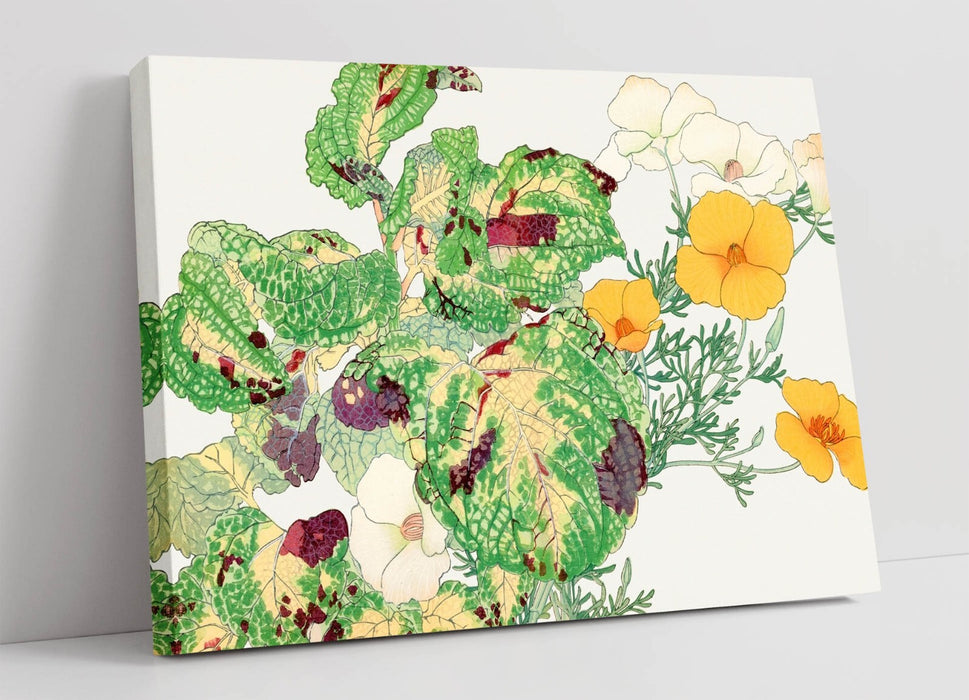 Canvas Wall Art – Handmade Floral Canvas Print Featuring California Poppy & Coleus
