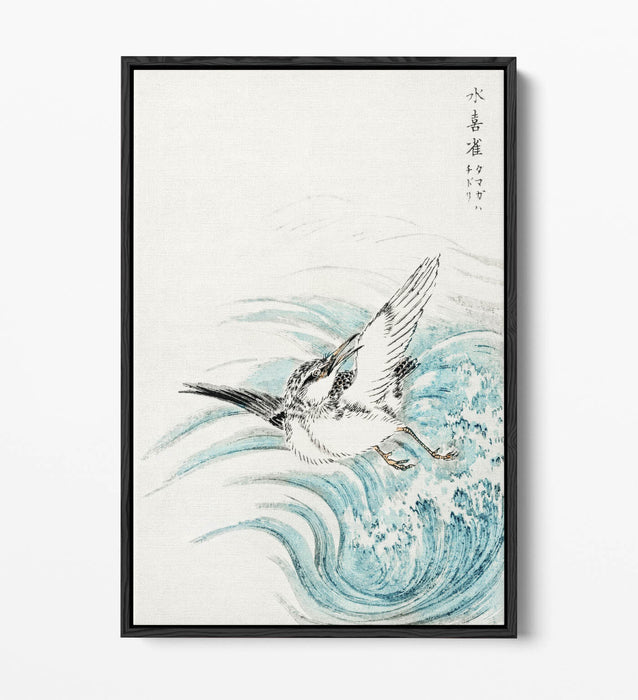 Float Effect Canvas Art - Mongolian Plover Print on 30mm Deep Frame