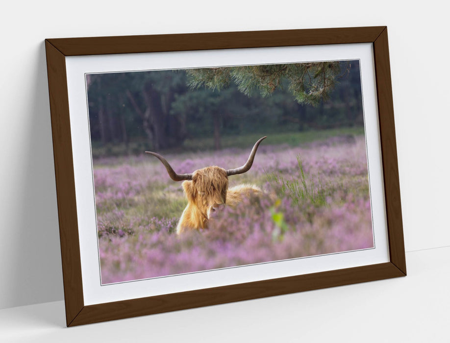 Highland Cow Wall Art – Framed Rustic Animal Art | Purple Flower Decor Print