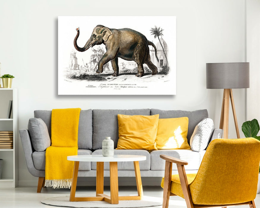 ELEPHANT CANVAS WALL ART PICTURE PRINT ARTWORK ANIMAL DEEP FRAMED