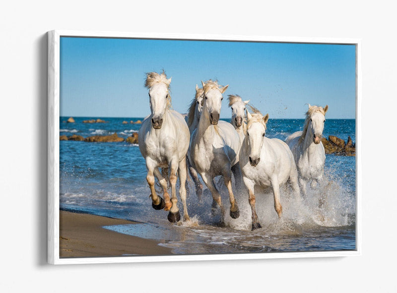 Canvas Wall Art - White Horses Running on Beach | Float Effect Print