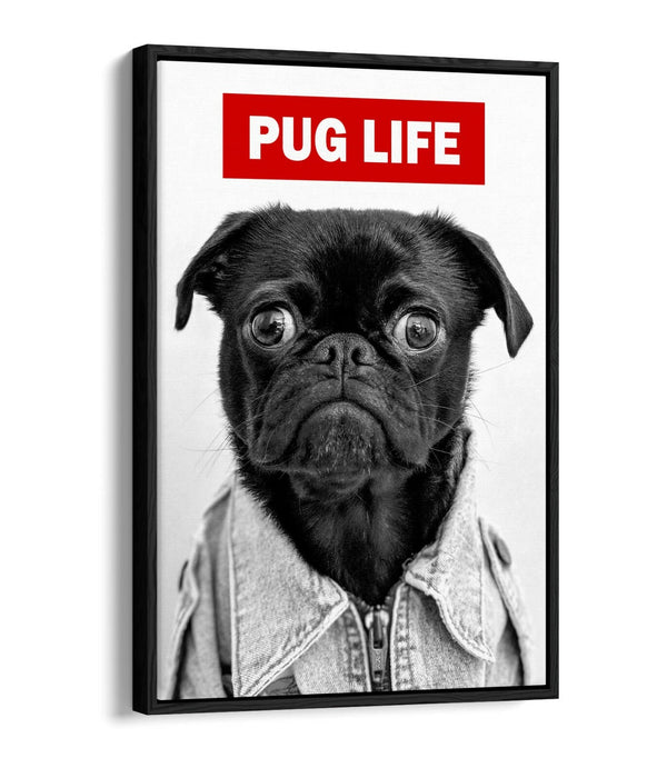 PUG LIFE -FLOAT EFFECT CANVAS WALL ART PIC PRINT GRAFFITI- BLACK & WHITE