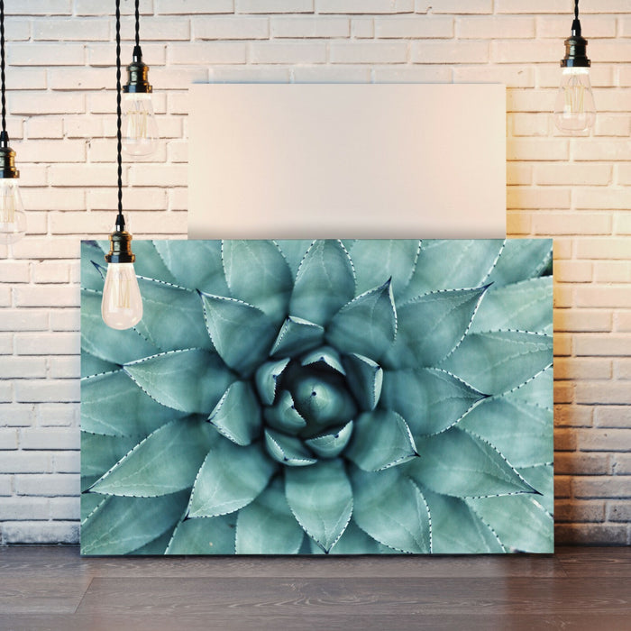 Canvas Wall Art – Framed Green Succulent Plant Poster With Scratch Resistant Finish