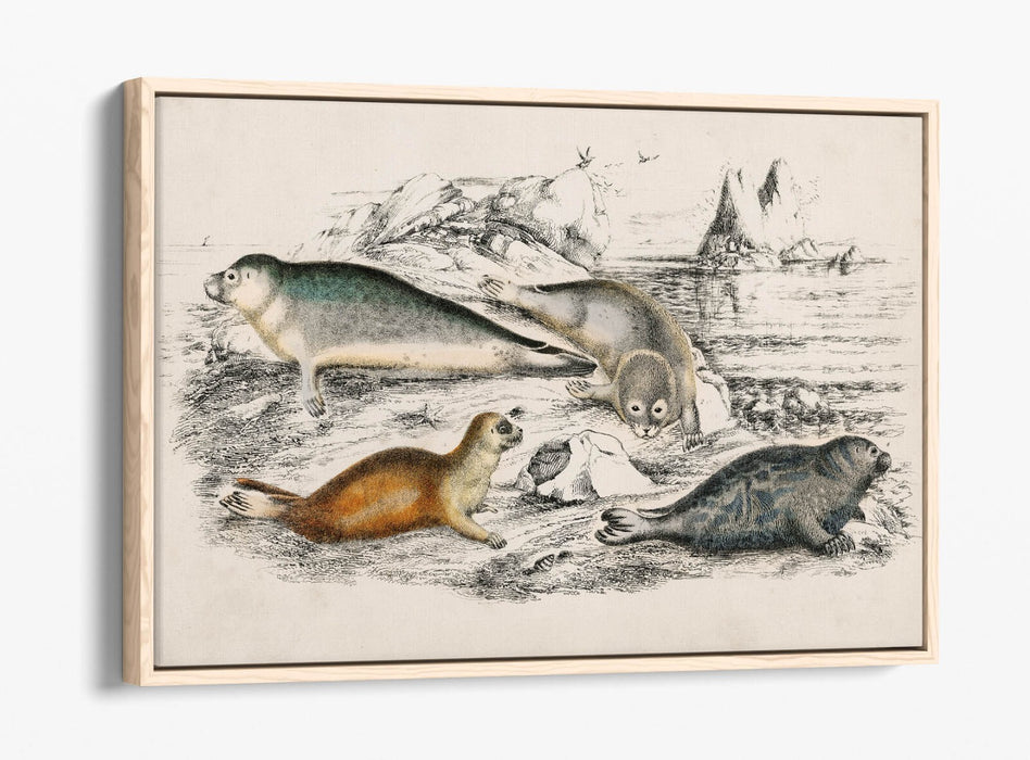 Canvas Wall Art Print - Handmade Canvas With Float Effect & Premium Frame