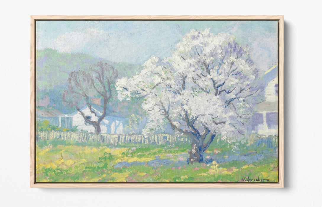 FRANK NUDERSCHER, CHERRY BLOSSOMS -FLOAT EFFECT CANVAS WALL ART PRINT