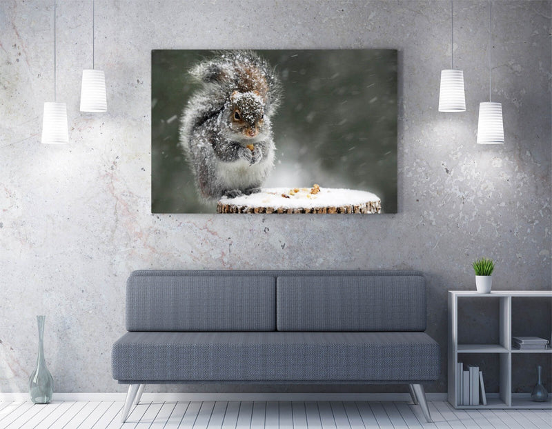 Canvas Wall Art - Cute Squirrel In Snow Wildlife Wall Hanging With Satin Finish