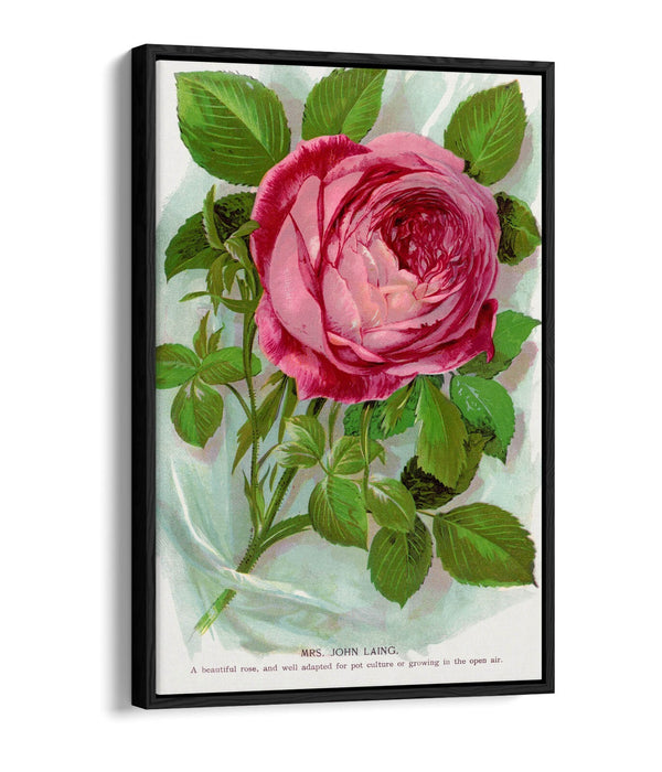 Canvas Wall Art – Pink Rose Print With Float Effect Canvas Frame – Handmade
