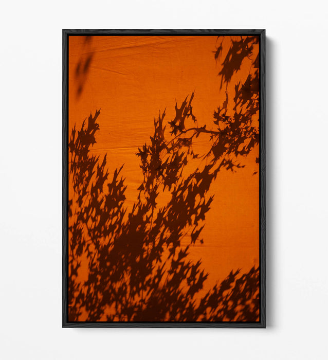 Canvas Wall Art Print - Orange Sunset Art With Tree Leaves Shadow | Float Effect Canvas