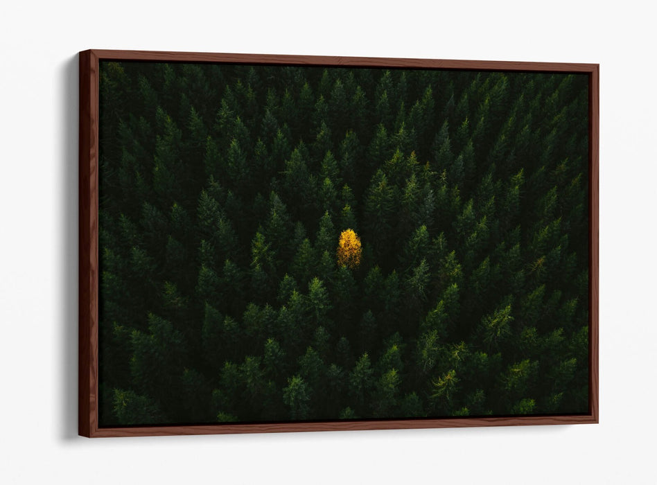 YELLOW TREE IN FOREST HOME BEDROOM DECOR FLOAT EFFECT CANVAS WALL PRINT