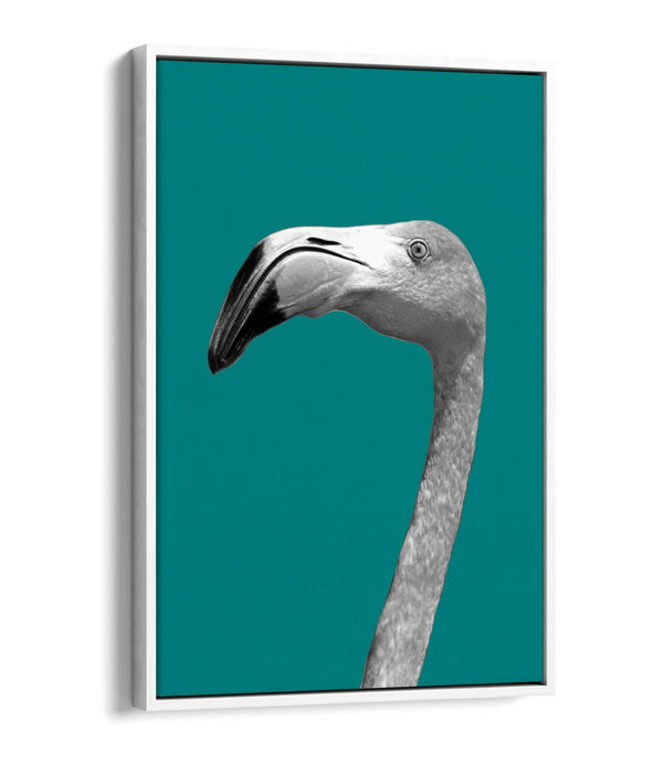 FLAMINGO HEAD TEAL -FLOAT EFFECT CANVAS WALL ART PIC PRINT- BLACK & WHITE