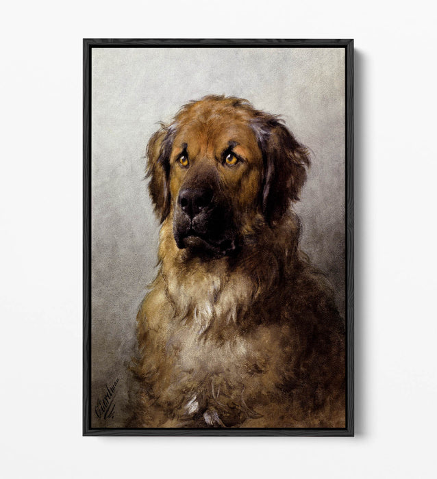 Canvas Wall Art – Otto Ereleman Head Of Leonberger | Premium Float Effect Print