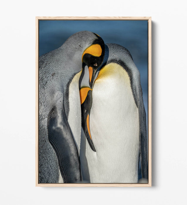 Penguin Couple Canvas - Cute Animal Artwork | Float Effect Canvas Wall Art Print
