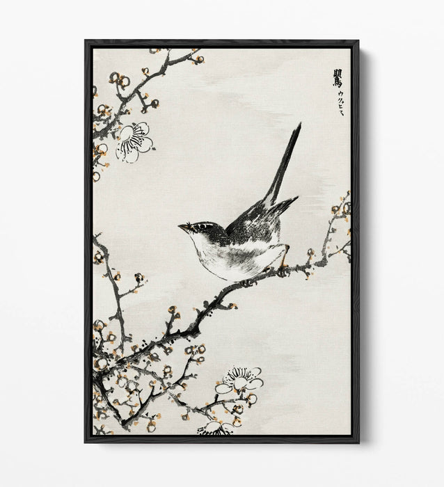 Float Effect Canvas Art - NUMATA KASHU Bush Warbler & White Plum Tree Print