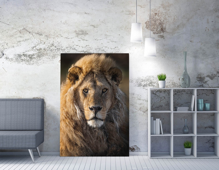 Lion Canvas Wall Art - Handmade Wildlife Canvas Print With Deep Frame & Satin Finish