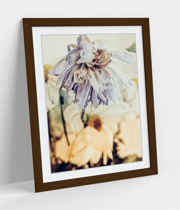 Framed Poster Art – Vintage Wall Art With Natural Wood Frame & Archival Ink Print