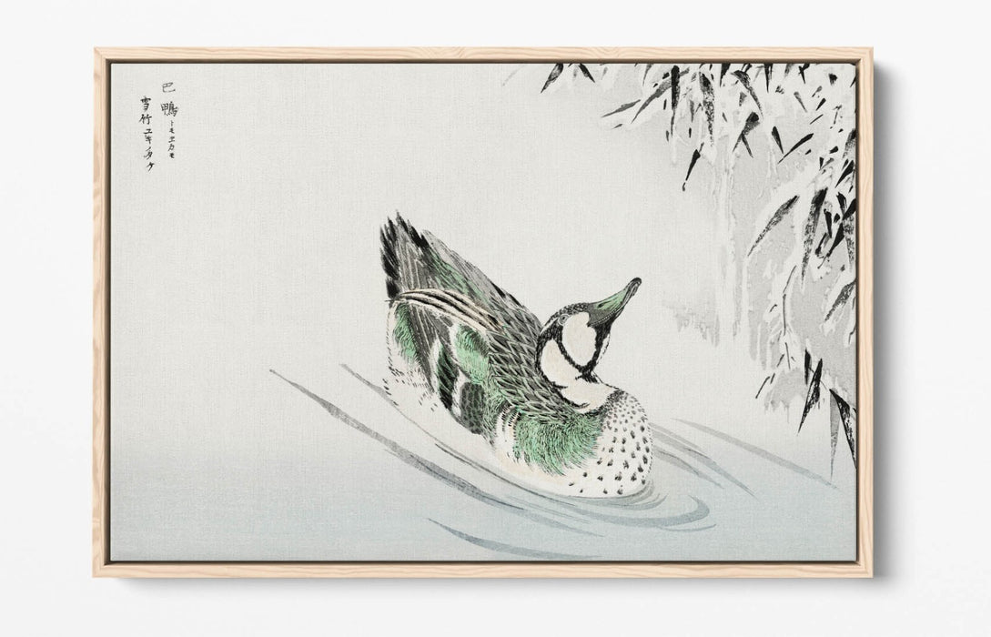 Canvas Wall Art - Numata Kashu Spectacled Teal Bamboo Float Effect Print on Premium Canvas