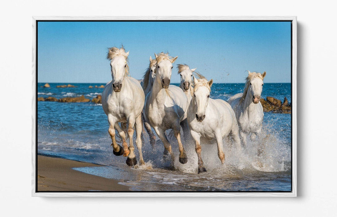 Canvas Wall Art - White Horses Running on Beach | Float Effect Print