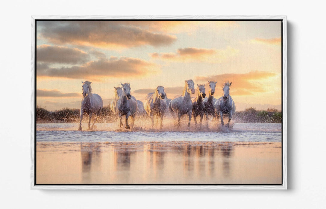Canvas Wall Art - Wild White Horses Running On Water | Float Effect Canvas Print