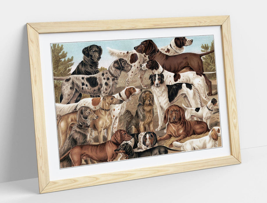 Dog Wall Art - Breeds of dog from The Yuzhakov's Bolshaya Entsiklopediya | Art Print and Wood Frame