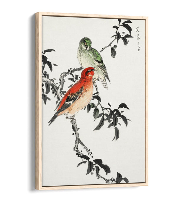 Canvas Wall Art - NUMATA KASHU Crossbill Float Effect Premium Print 30mm Frame