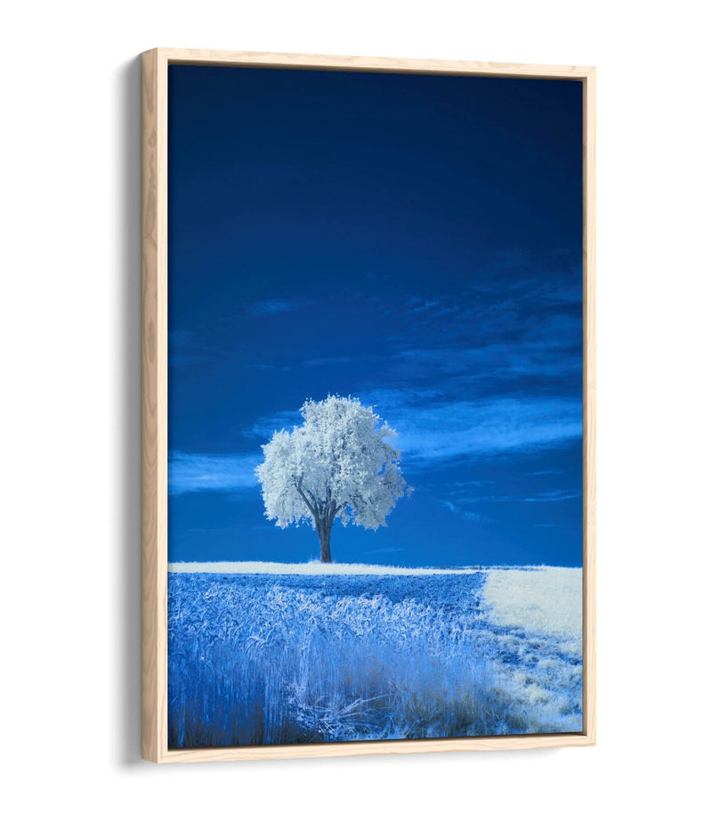 Canvas Wall Art – Abstract White Tree Painting in Blue Landscape | Float Effect Canvas Print
