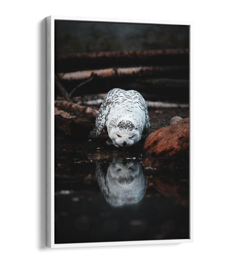 Snowy Owl Canvas Art - Float Effect Canvas Wall Art With Premium Varnish Finish