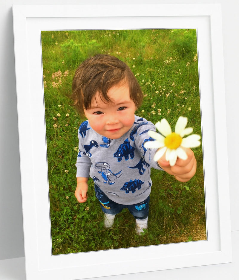 Framed prints - A3 - Trade only
