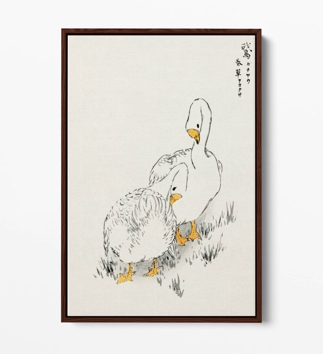 Canvas Wall Art Print – Duck And Young Grass On Float Effect Canvas Frame