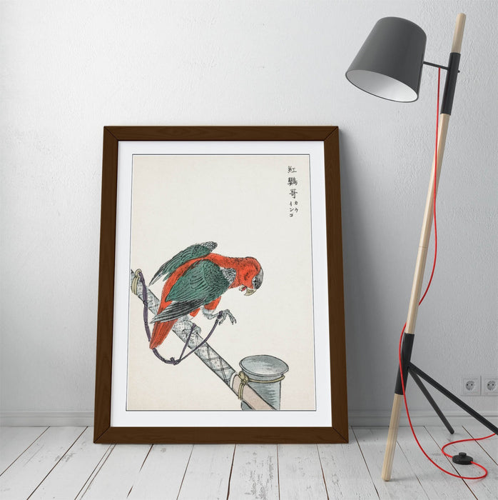 Framed Wall Art - Numata Kashu Macaw Poster Print | Handmade UK Woodgrain Frame