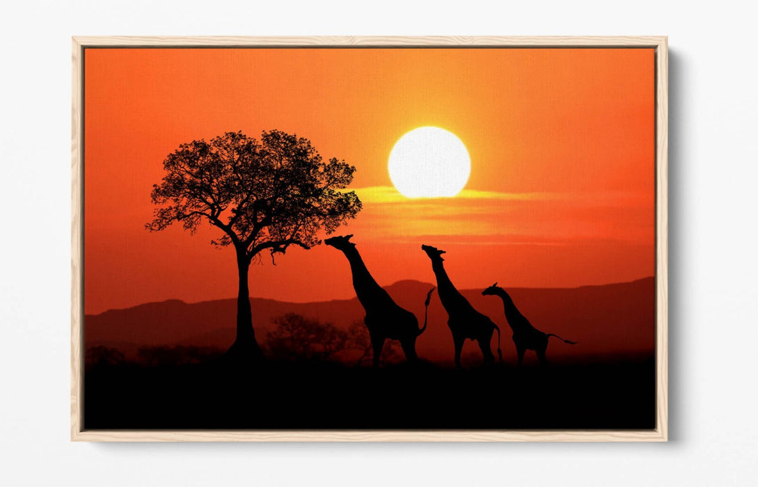 Safari Canvas Wall Art – African Landscape With Giraffes | Float Effect Print