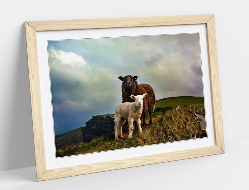 Irish Sheep Wall Art – Framed Mountain Landscape Print With Woodgrain Frame