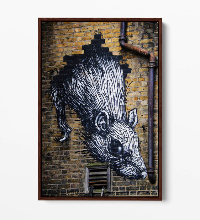Rat Wall Art - Urban Graffiti Canvas Wall Art With Float Effect Frame