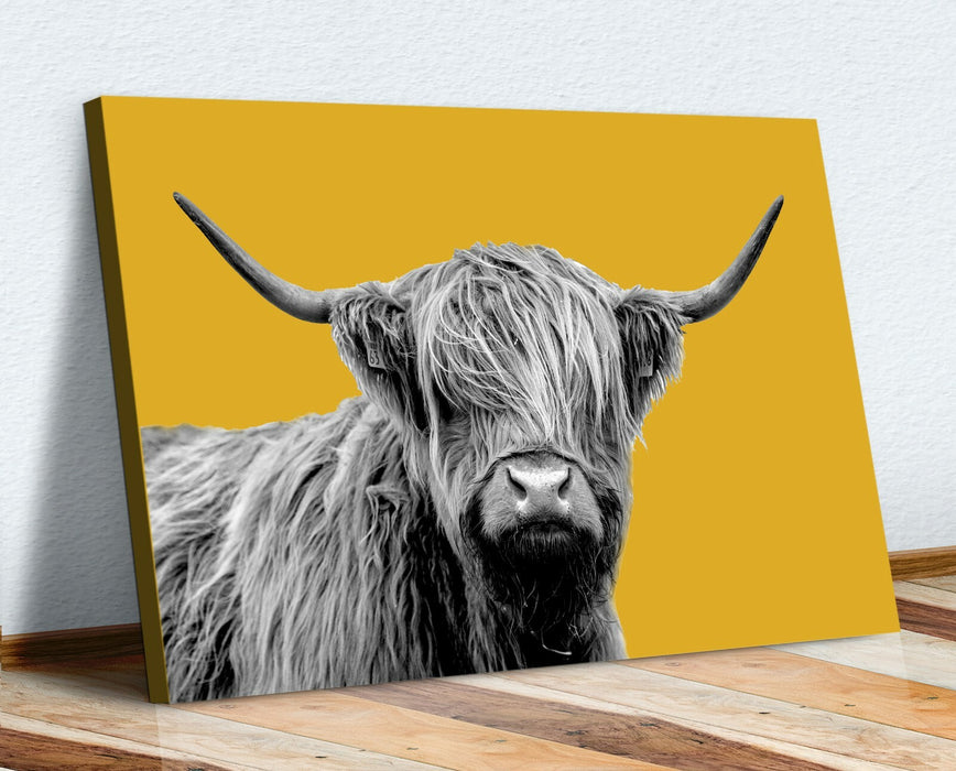 Highland Cow Canvas Art - Black White Wall Art | Rustic Farmhouse Decor
