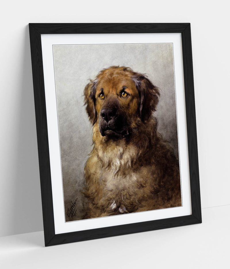 Framed Wall Art - Otto Ereleman, Head Of A Leonberger | Handmade UK Art Poster Print