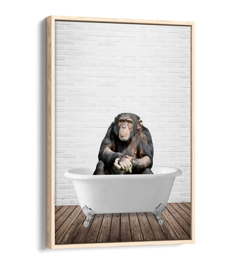 Quirky Bathroom Wall Art – Chimp Bathtub Float Effect Canvas Print