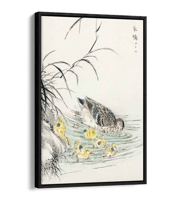 Canvas Wall Art Print - Duck and Ducklings Float Effect on Premium 30mm Deep Frame