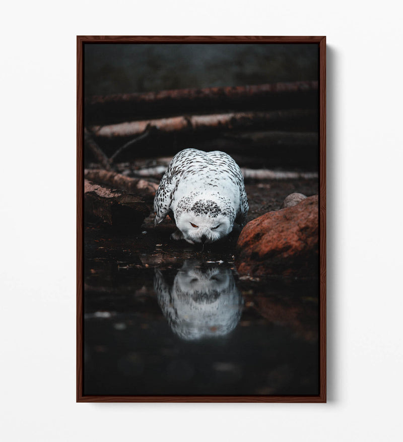 Snowy Owl Canvas Art - Float Effect Canvas Wall Art With Premium Varnish Finish