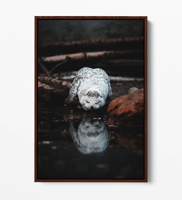 Snowy Owl Canvas Art - Float Effect Canvas Wall Art With Premium Varnish Finish