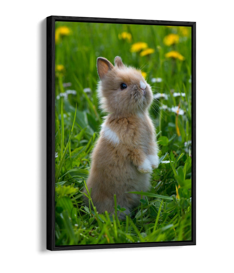 Bunny Canvas Wall Art – Cute Rabbit Home Decor With Float Effect Canvas Print