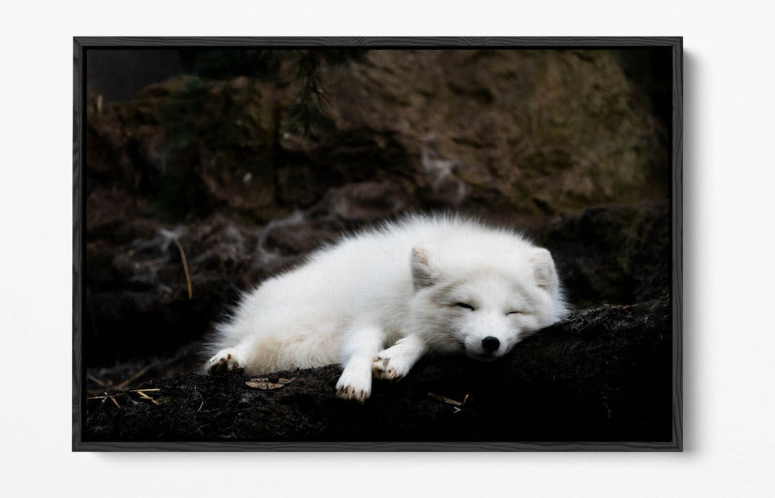 Wolf Canvas Art - Handmade Float Effect Canvas Wall Decor With Premium Frame